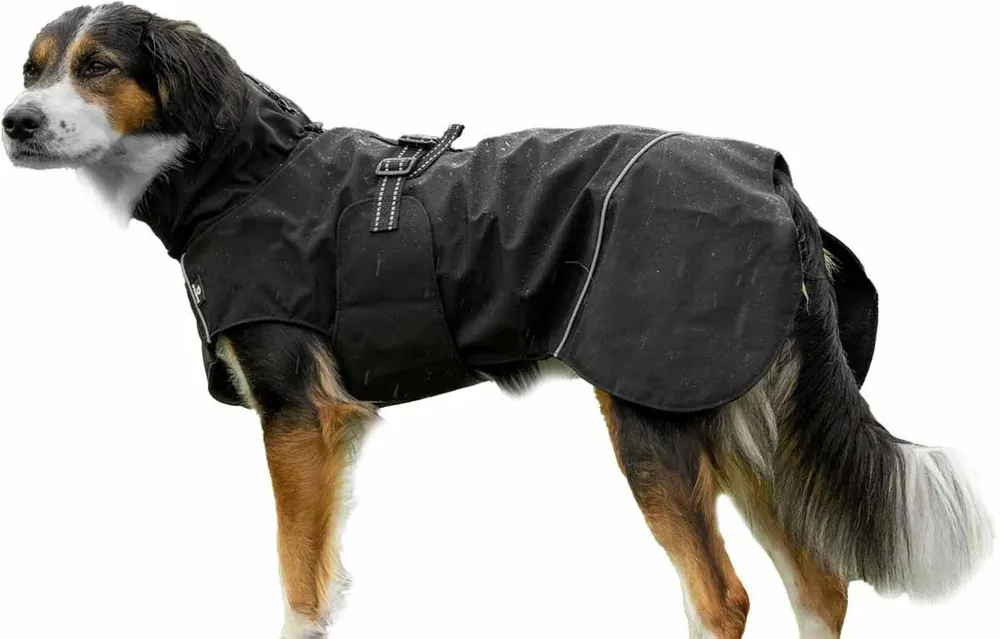 Ta chansen - Outdoor Rainjacket för Hund - 40 / Svart