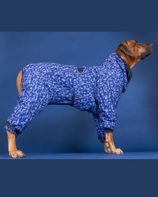 Vinteroverall till hund, blå - 40 / Blå - Beställ nu