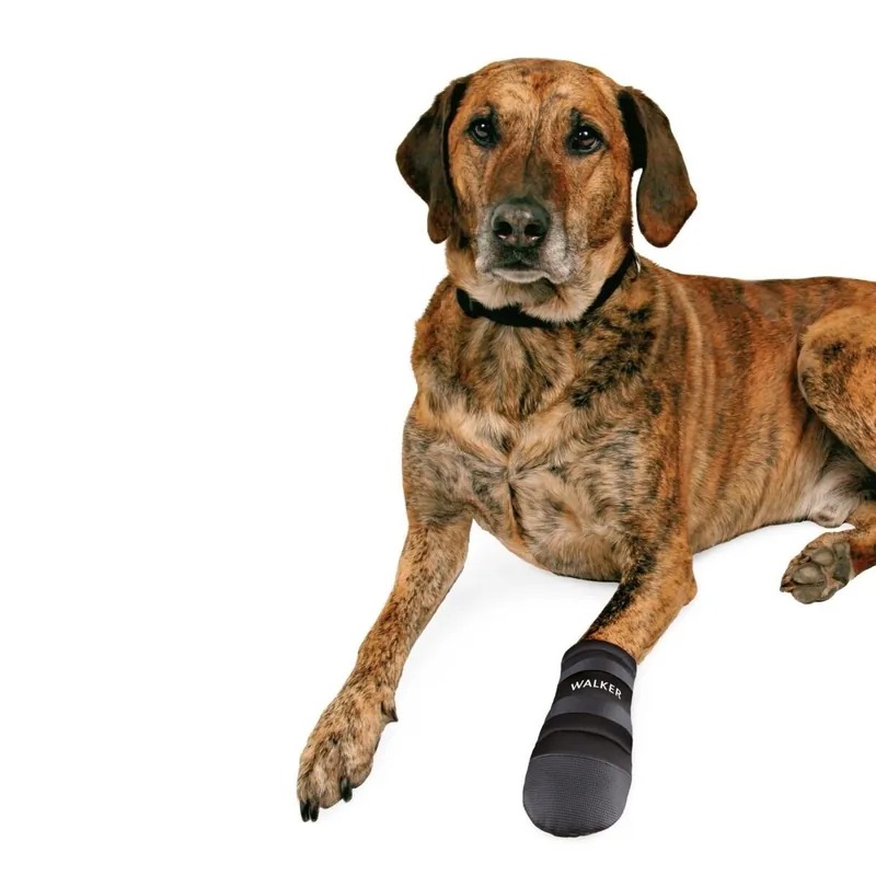 Trixie Hundsko Neopren 2-pack (XXL) - Hög kvalitet
