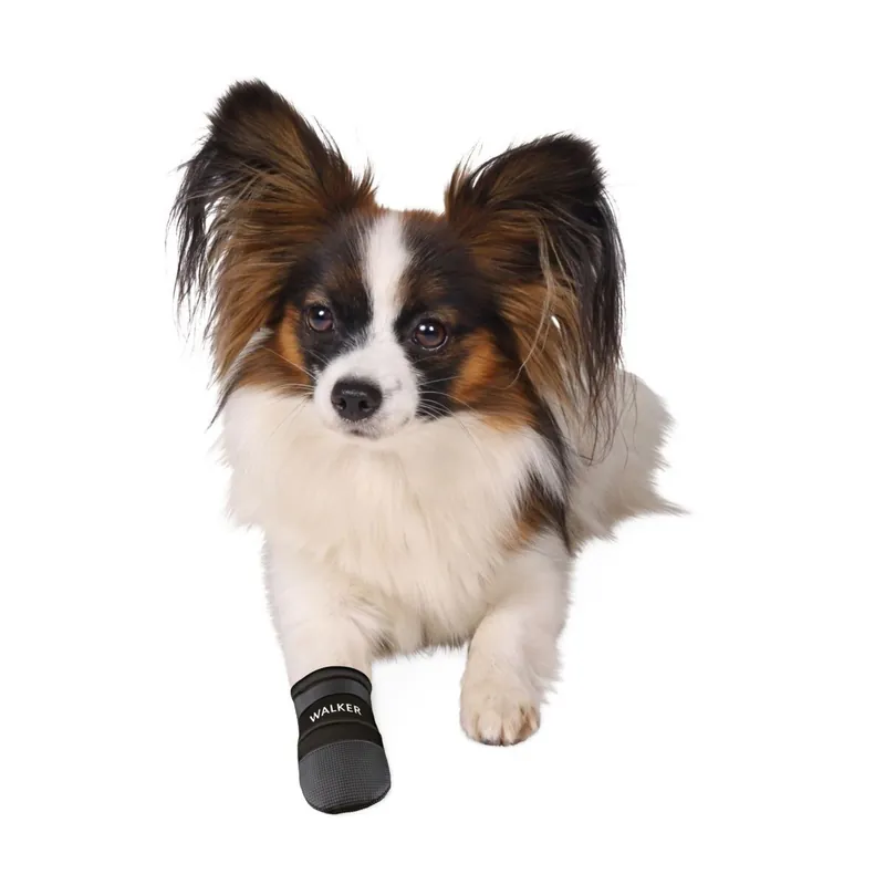 Skaffa nu - Trixie Hundsko Neopren 2-pack (S)