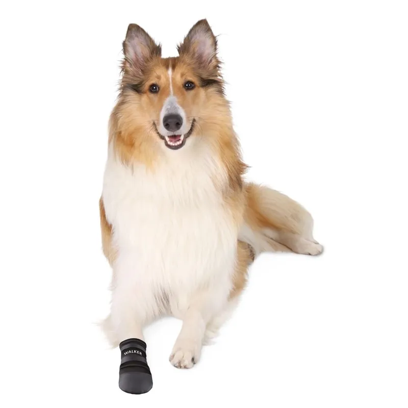 Försäljningssuccé - Trixie Hundsko Neopren 2-pack (XL)