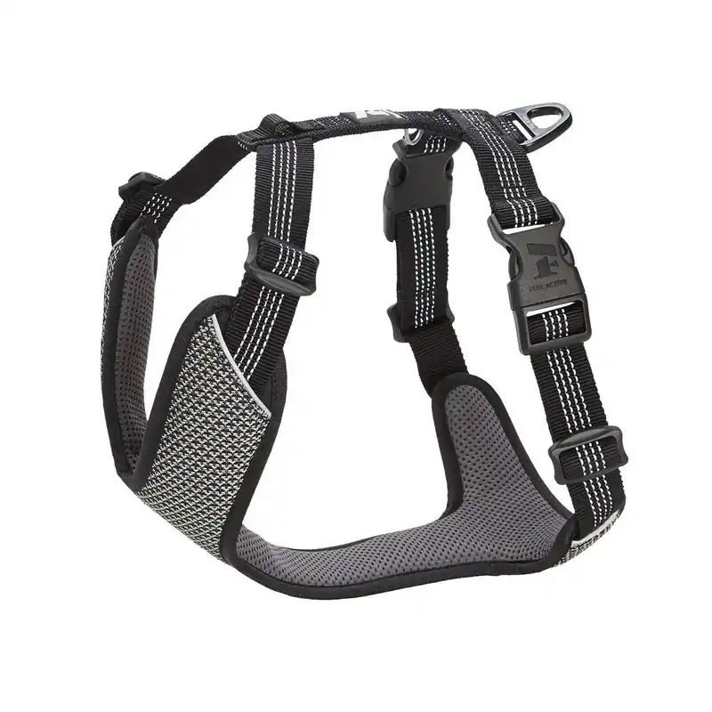 Köp direkt - Feel Active Reflective Sele Svart (L)