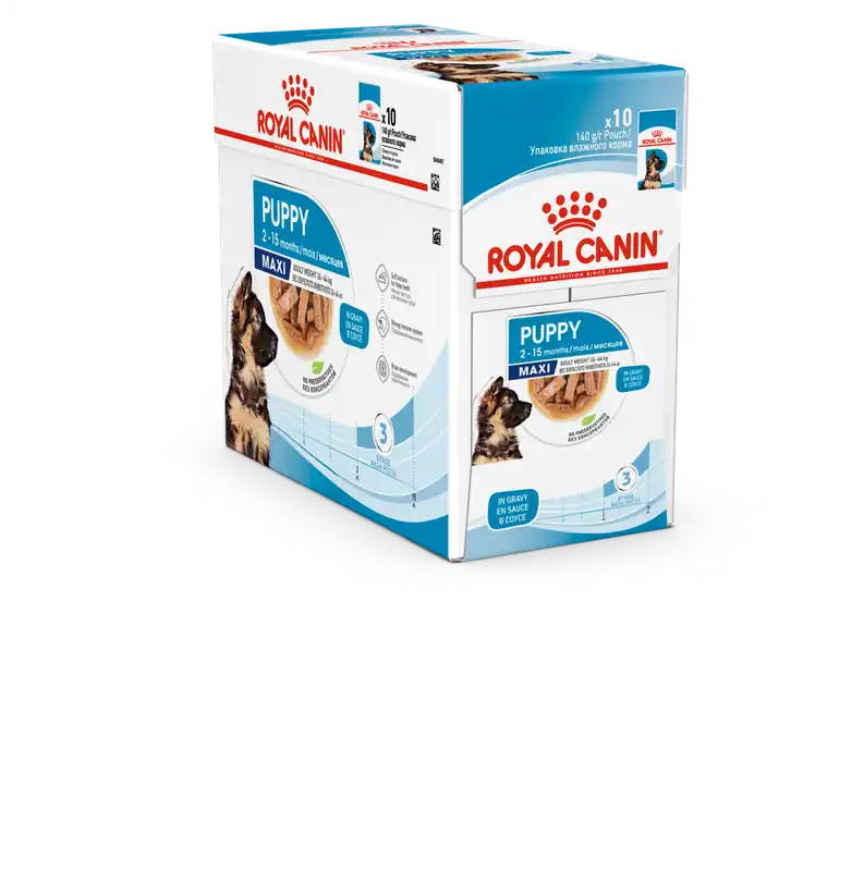 Royal Canin Maxi Puppy Våtfoder för hundvalp 10x140 g | Finns nu