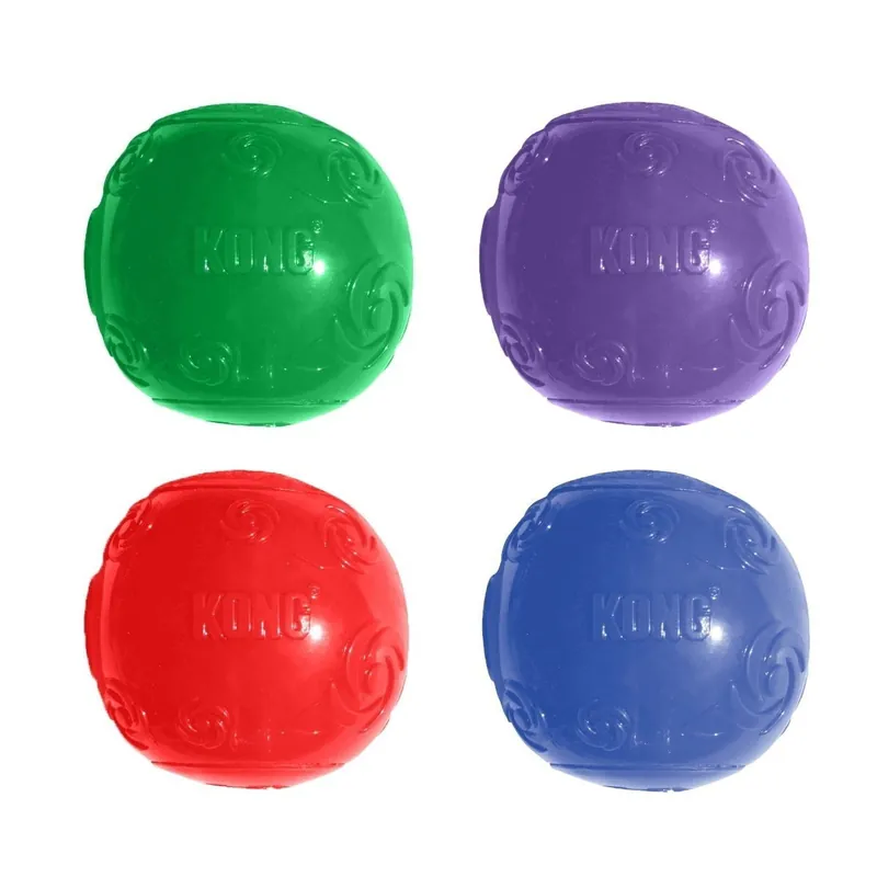 Favorit - KONG Squeezz Ball (M)