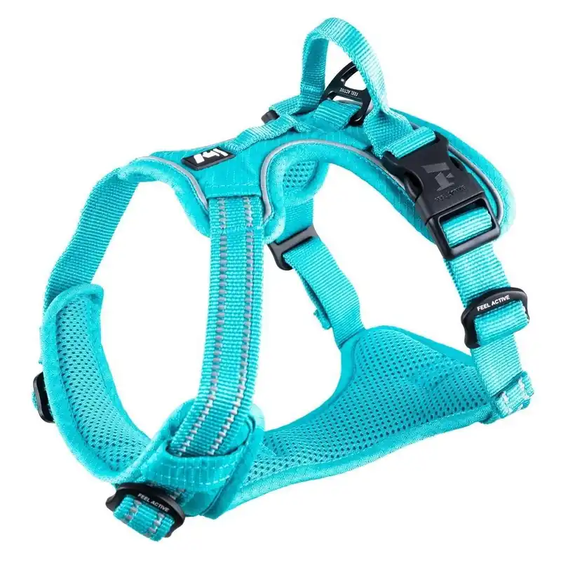 Finns i lager - Feel Active Training Hundsele Turkos (M)