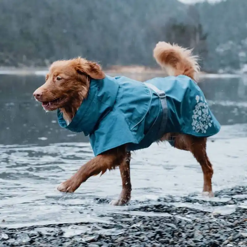 Hurtta Monsoon Hundtäcke Blå (20 cm) | Precis tillagt