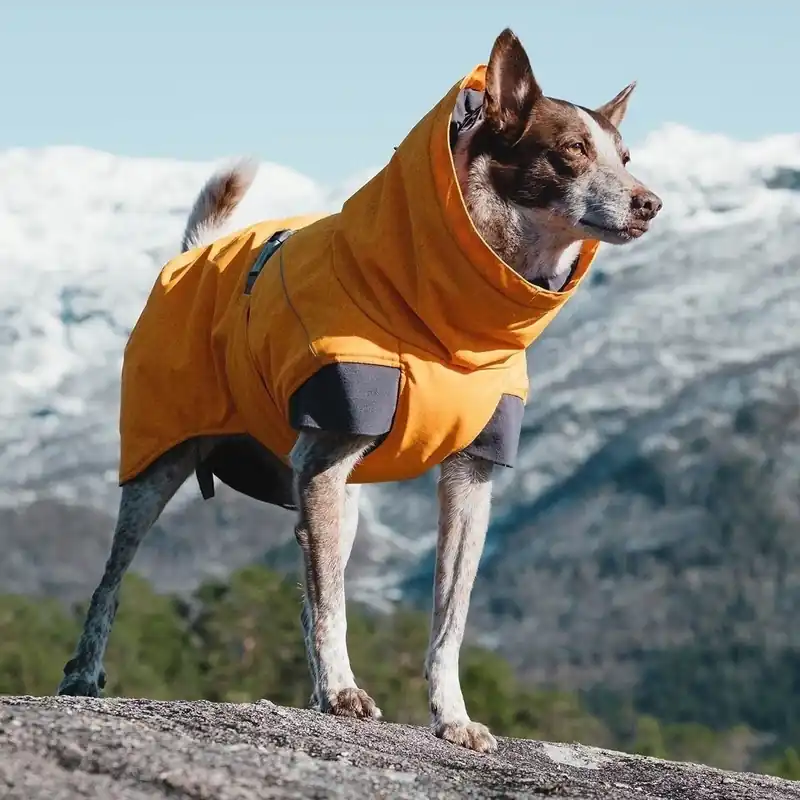 Hurtta Expedition Parka Vintertäcke Orange (80 cm) - Tillverkarpris