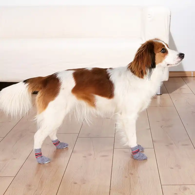 Prisnedsättning - Trixie Hundsockor Non-slip 2-pack (L)
