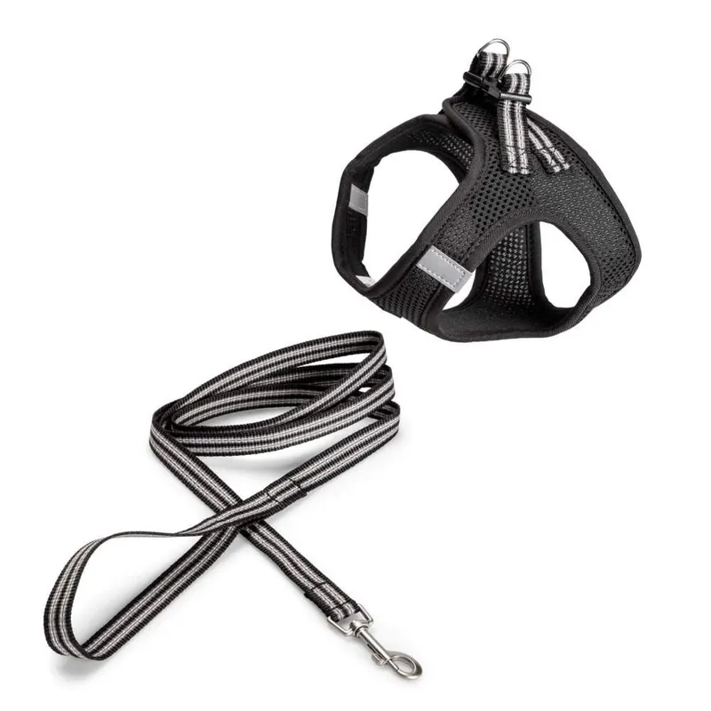 Premiumkvalitet - Basic Cat Sporty Sele & Koppel Svart (M)