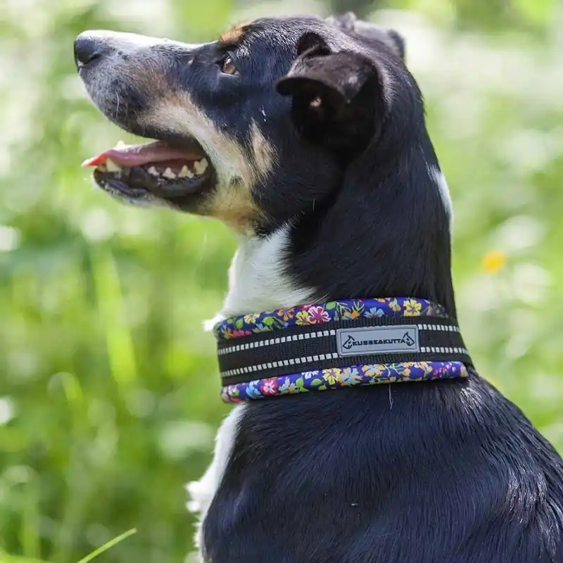 Väl omtyckt - Kusse&Kutta Hundhalsband Lycra Bred Modell Blommor (10)