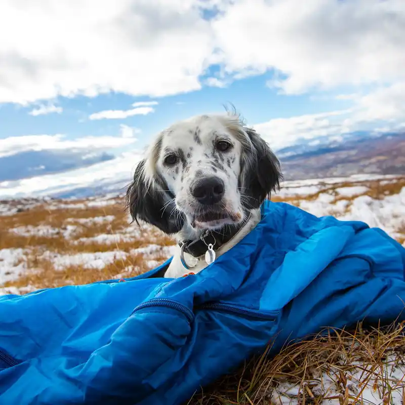 Outlet - Non-stop Dogwear Ly Sovsäck för hund (Small)
