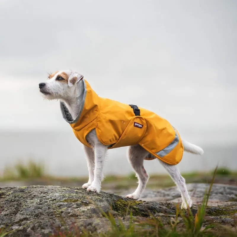 Toppsäljare | Pomppa Perus Vintertäcke Hund Gul (25 cm)