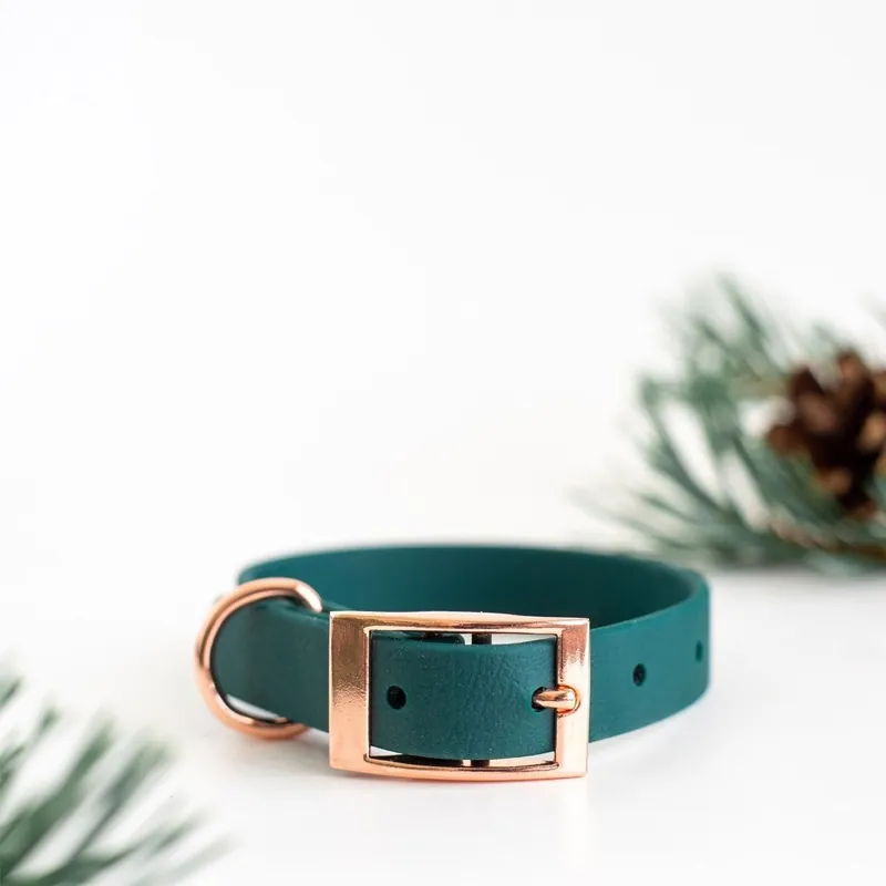 Tillverkarpris - Tyylivoitto Classy Hundhalsband Grön (XXS)