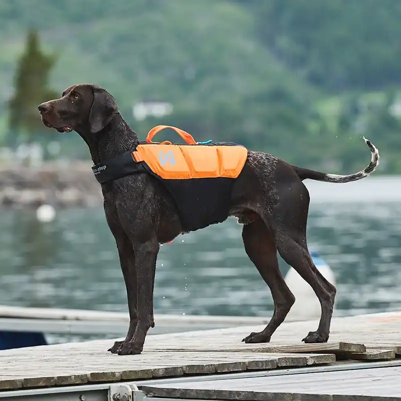 Non-Stop Dogwear Protector Flytväst till hund Orange & Svart (3) | Favorit