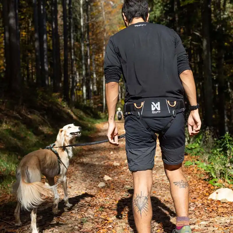 Non-stop Dogwear Trekking 2.0 Hundförarbälte Svart (S) - Professionell kvalitet