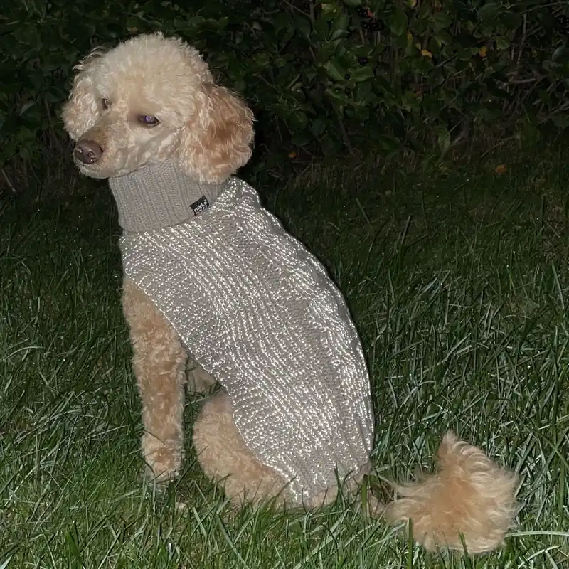 Rukka Sparky Hundtröja Beige Reflekterande (XL) | Finns tillgänglig