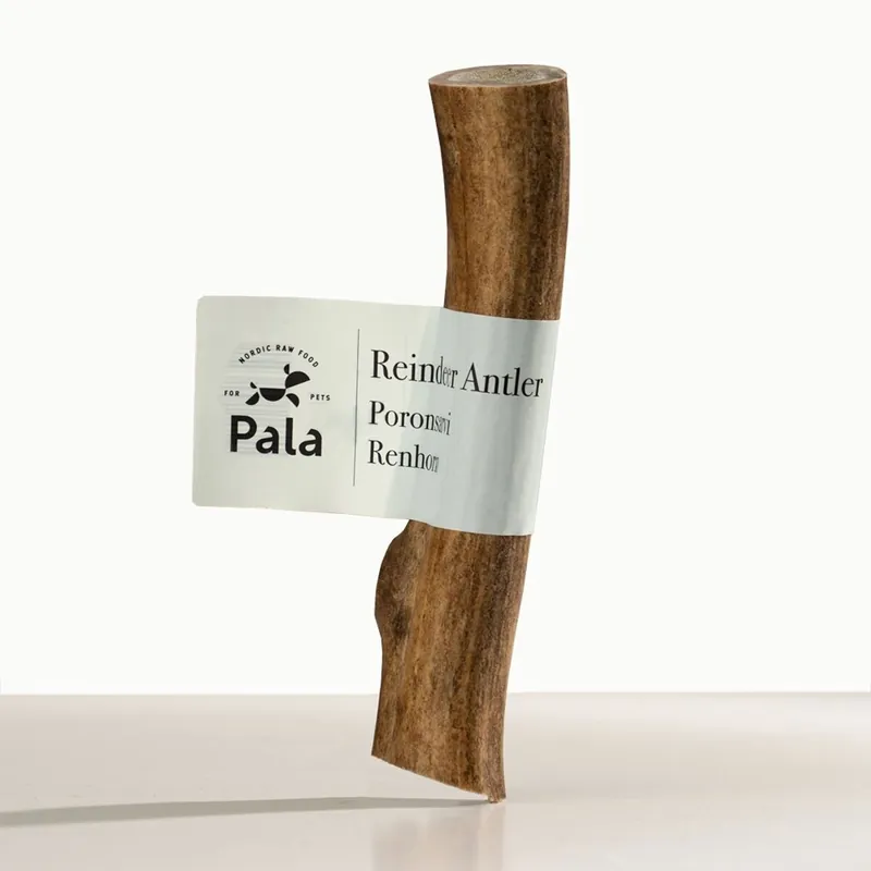 Pala Reindeer Horn (L) - Köp idag