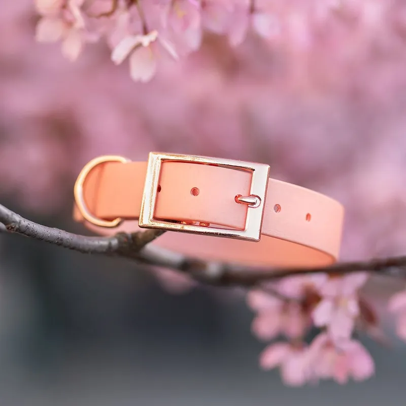 Tyylivoitto Classy Hundhalsband Stor Modell Persika (M) | Utförsäljning