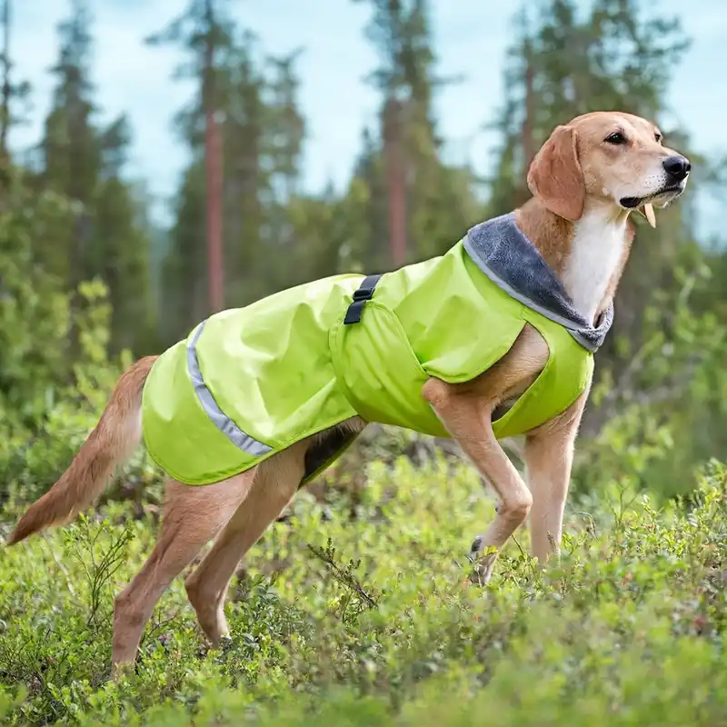 Pomppa Kevyt Regnjacka Hund Grön (34 cm) - Begränsat antal