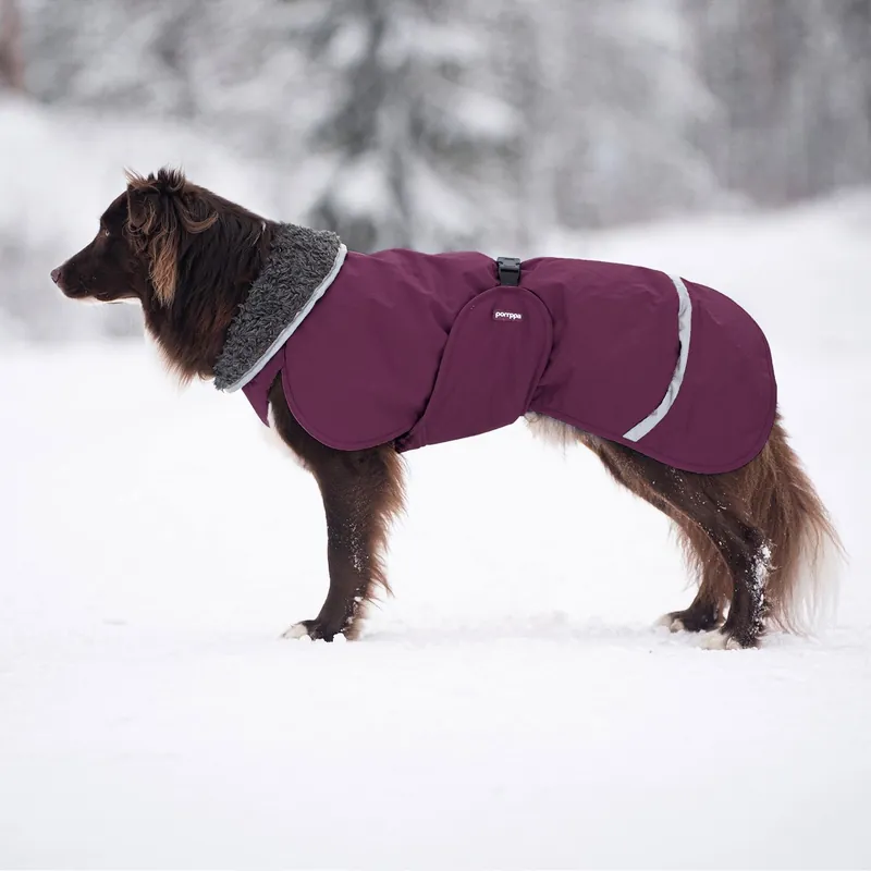 Pomppa Toppa Vintertäcke Hund Lila (75 cm) - Hög kvalitet