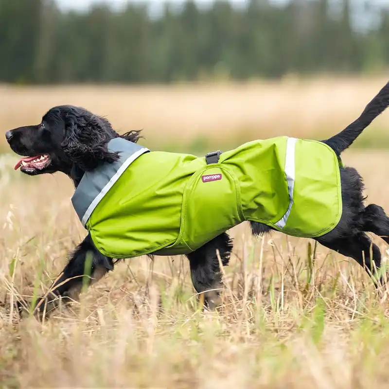 Dagens deal | Pomppa Sade Regntäcke Hund Grön (44 cm)