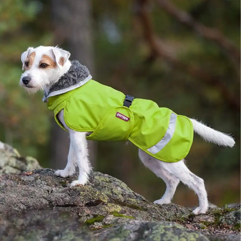Pomppa Perus Vintertäcke Hund Grön (31 cm) - Bra pris