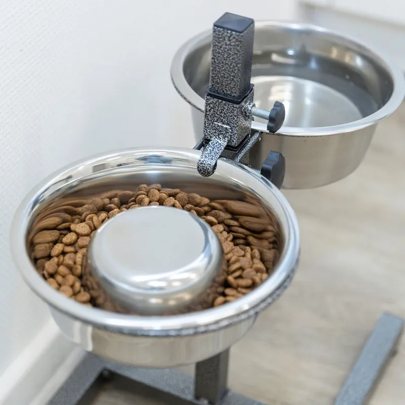 Passa på - Trixie Slow Feeding Hundmatskål Rostfri (M)