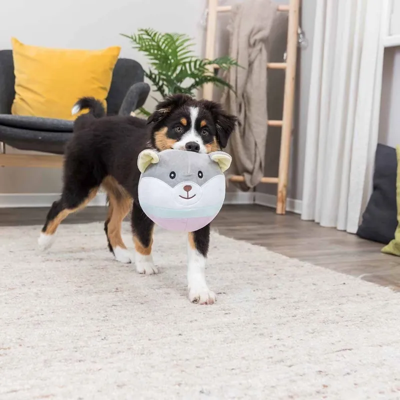 Erbjudande | Trixie Junior Mjukisdjur Nalle 20 cm