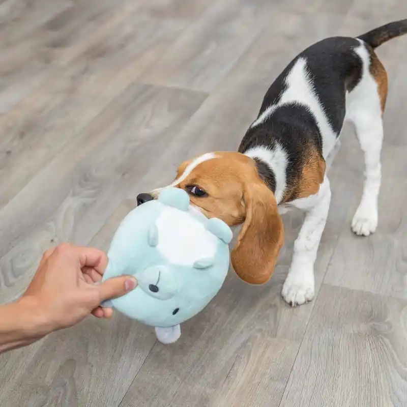 Trixie Junior Nalle Turkos 14 cm - Beställ online