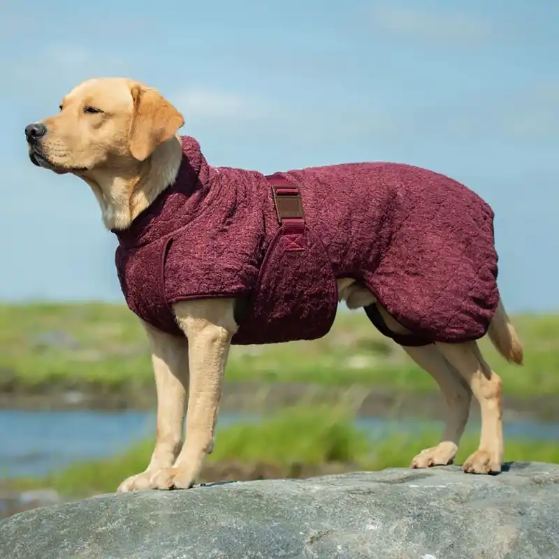 Begränsat lager - Siccaro Smart Badrock till Hund Vinröd (50 cm)