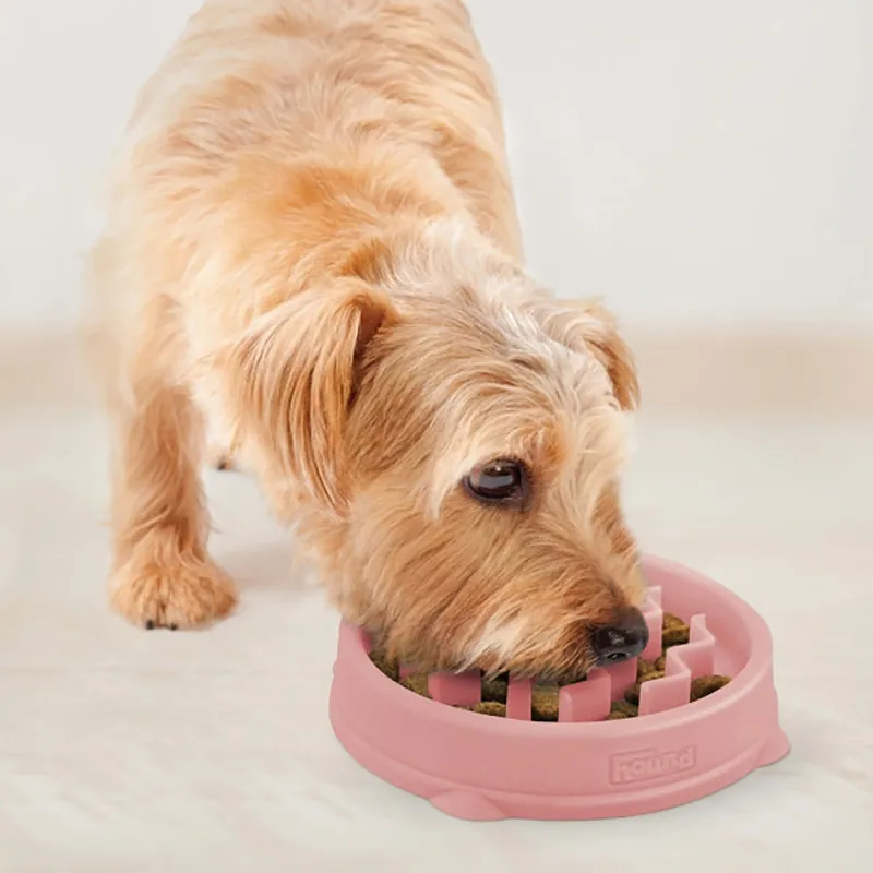 Finns att beställa | Slow feeder hundmatskål Outward Hound Slow Feeder Wave, 14 cm