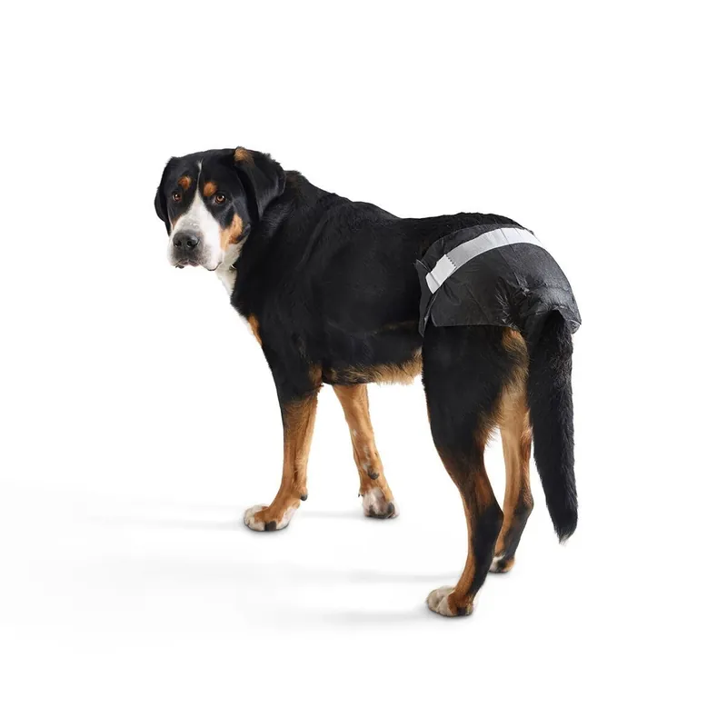 Premiumkvalitet | Savic Comfort Nappy Hundblöja 12 st (5)