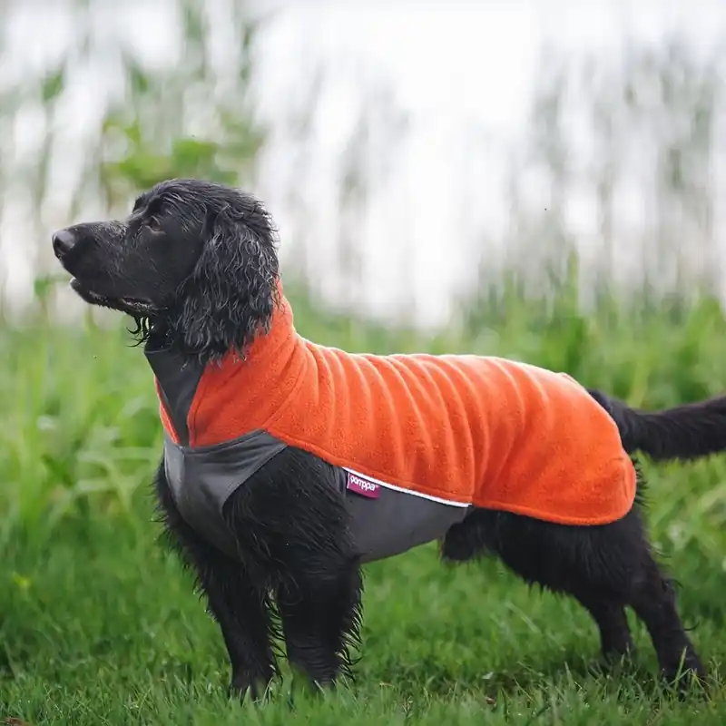 Pomppa Jumppa Fleecetäcke Hund Orange (34) | Bara denna vecka