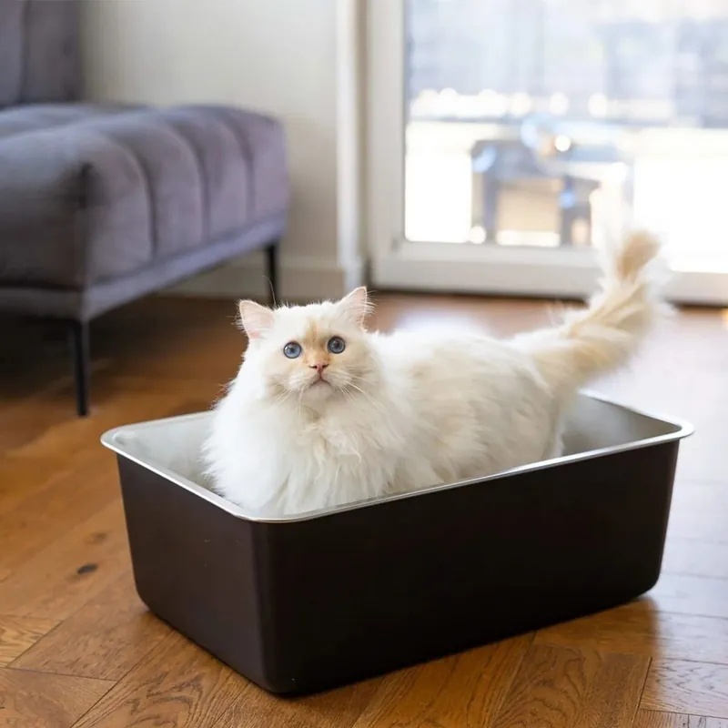 Quapas! Kattlåda i Rostfritt Stål Svart - Nyligen tillagt
