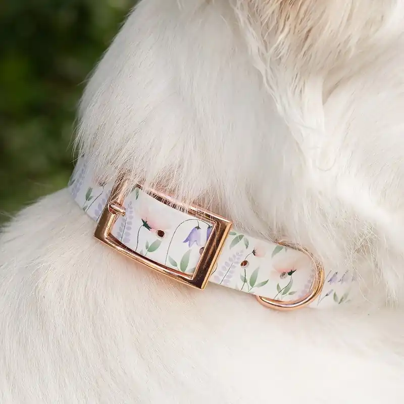 Tyylivoitto Unique Flower Field Hundhalsband (XXS) | Endast idag