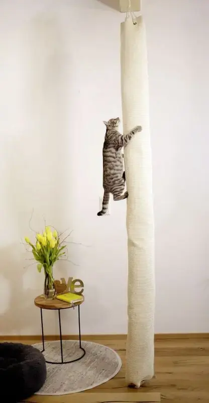 Cat scratching climber | Bara idag