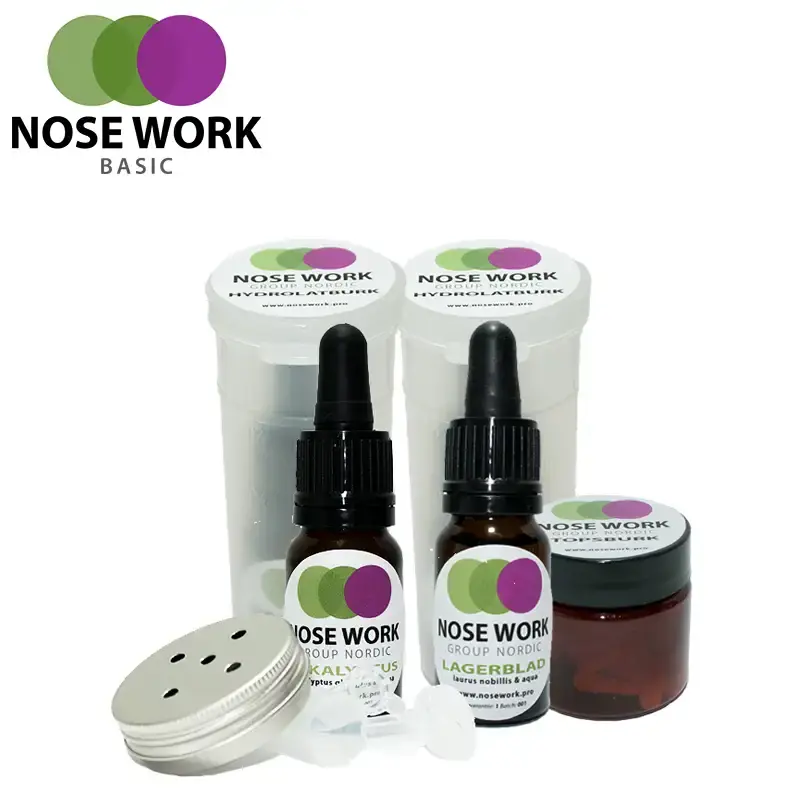 Nose Work – Mellankit | Ta chansen