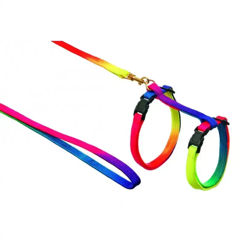 Kattsele/Koppel-Set Nylon Regnbåge | Toppkvalitet