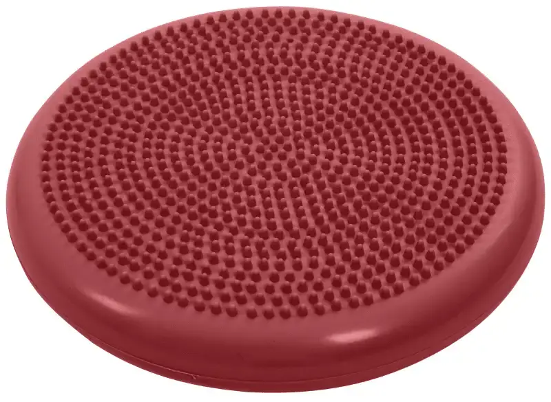 Kampanjpris - KRUUSE Physio Tactile Balance Discus, 33 cm