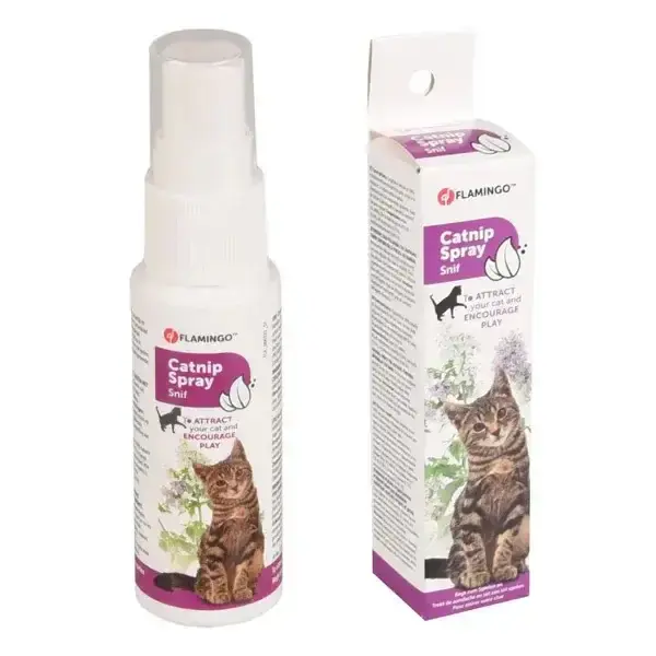 Dagens erbjudande | Kattmynta Snif Spray