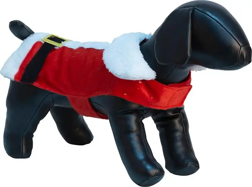 Kan beställas | Companion Xmas Jultröja