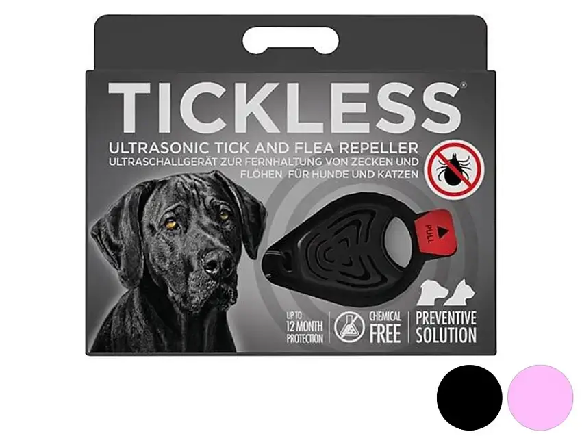 Tickless - Expressfrakt