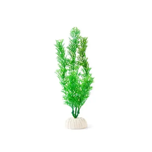 Plastväxt – Hornblad – Ceratophyllum – 20 cm - Klar att skickas