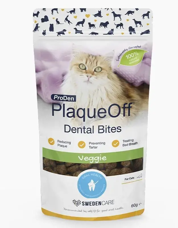 Plaque Off dental bites Katt - Klar att skickas