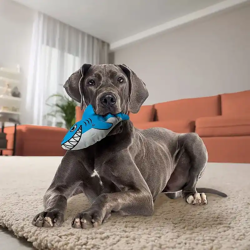 KONG Maxx Mjukisdjur till Hund Haj M - Prisnedsättning
