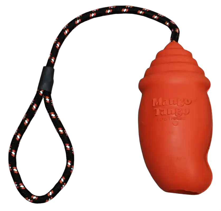 Ny produkt | Fetch Dog Mango Tango Large 14,5 cm