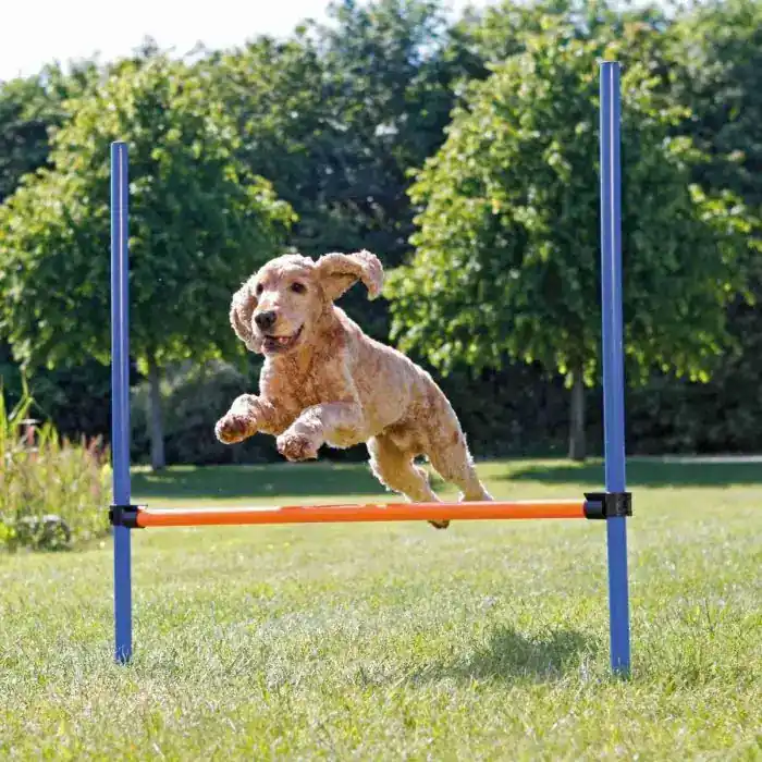 Trixie Agility Hopphinder – Hopphinder med justerbar höjd - Topprodukt