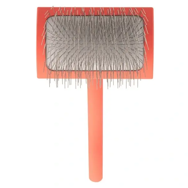 Begränsat antal - Chris Christensen Big G Coral hundkarda medium