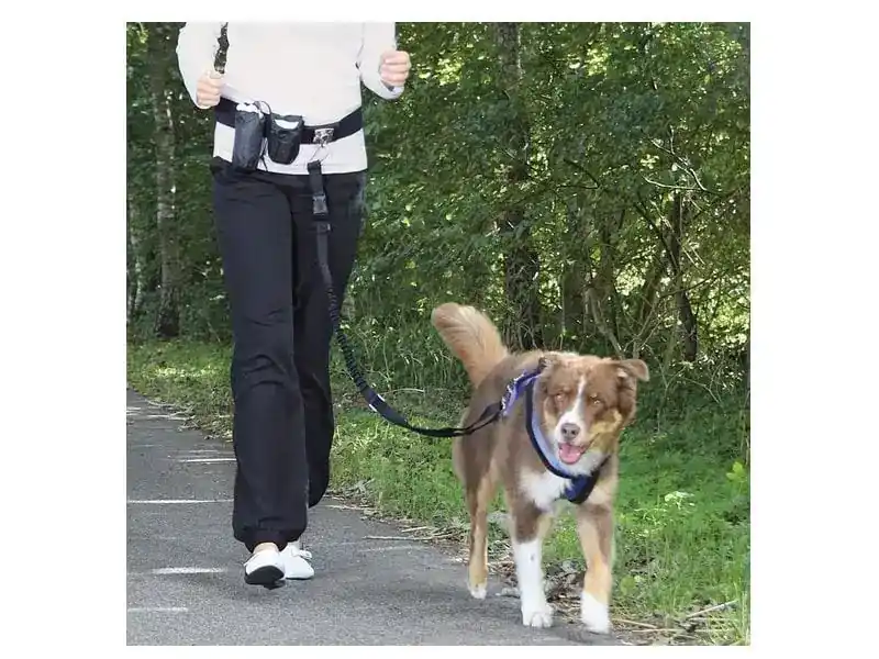 Under begränsad tid | TRIXIE magrem med hundkoppel 60-120 cm