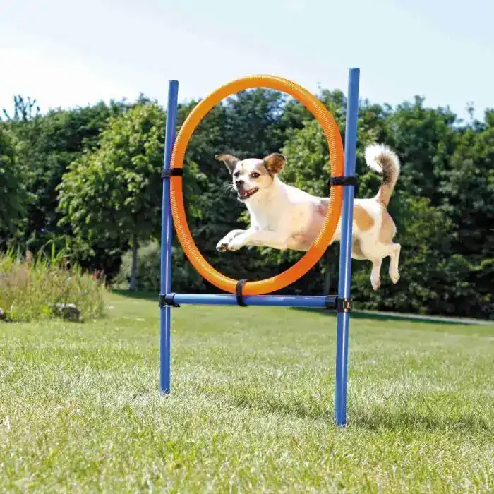 Kanonerbjudande | Trixie Agility Hoppring – Agility Hoppring med justerbar höjd
